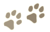 pawprints
